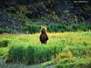 miniatura_88 copia